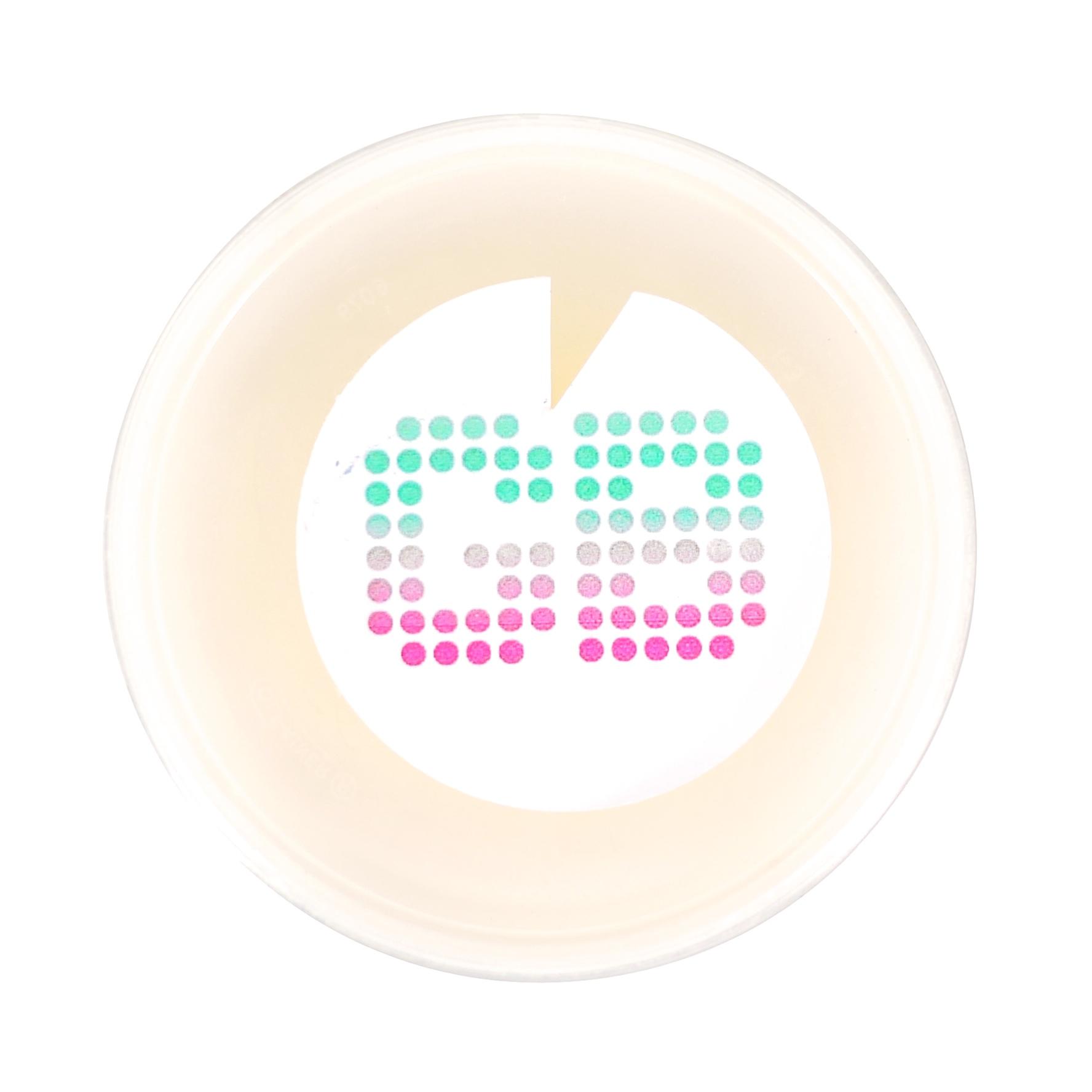 MAC Pro Absolute Setting Powder #2