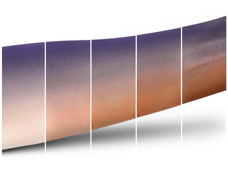 MAC Eye Palette Parlor Smoke #6