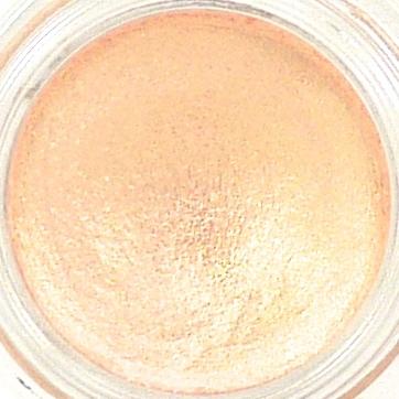 MAC Pro Longwear Paint Pot Chilled On Ice #3