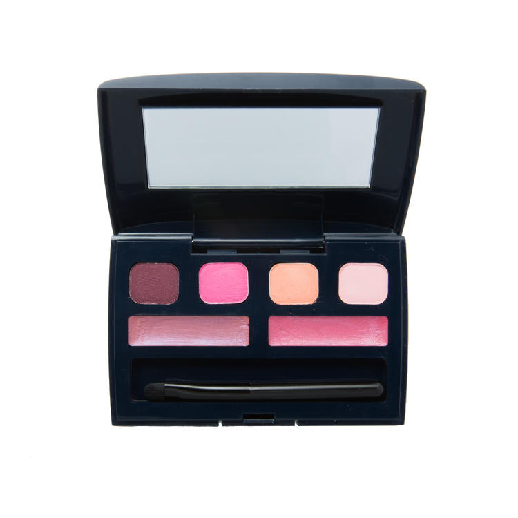 Dior 1 Color / Dior Addict Palette Pink Tones