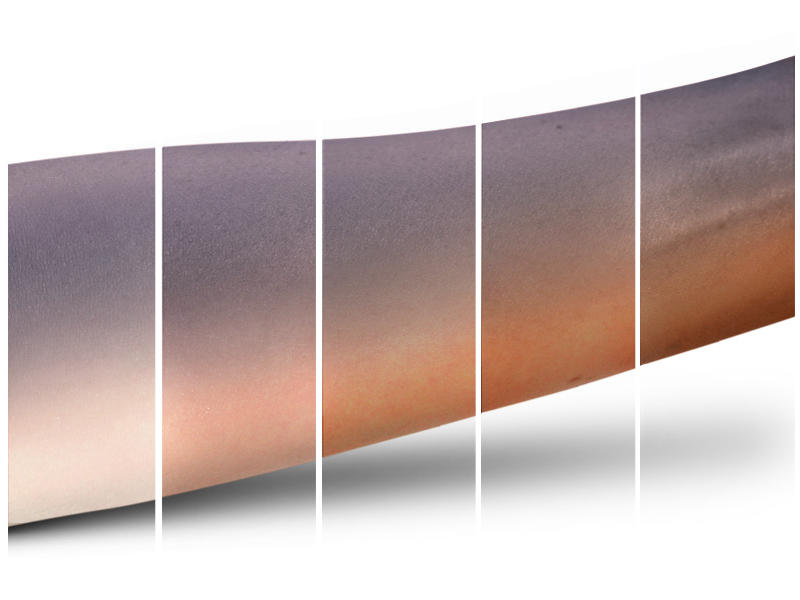 MAC Eye Palette Cool Eyes Infatuating Rose Passions of Red Collection #10