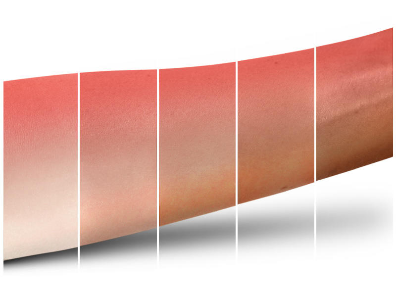 MAC - Powder Blush Duo - Blossom Up & Rose Hip #5