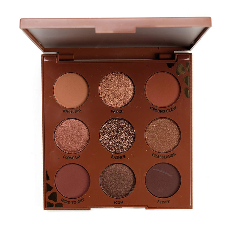 2nd Chance ColourPop Wild Child Eyeshadow Palette