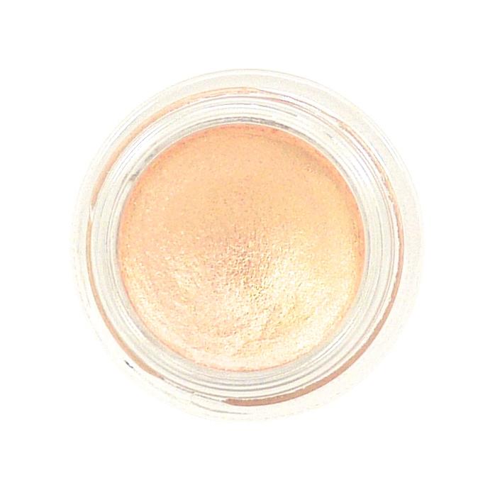 MAC Pro Longwear Paint Pot Chilled On Ice #1