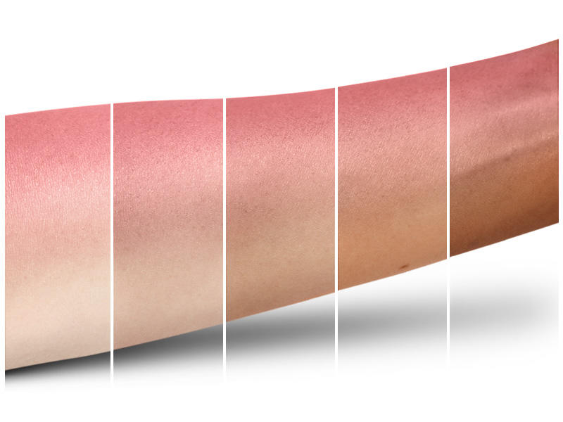 MAC Powder Blush Fleur Power #5