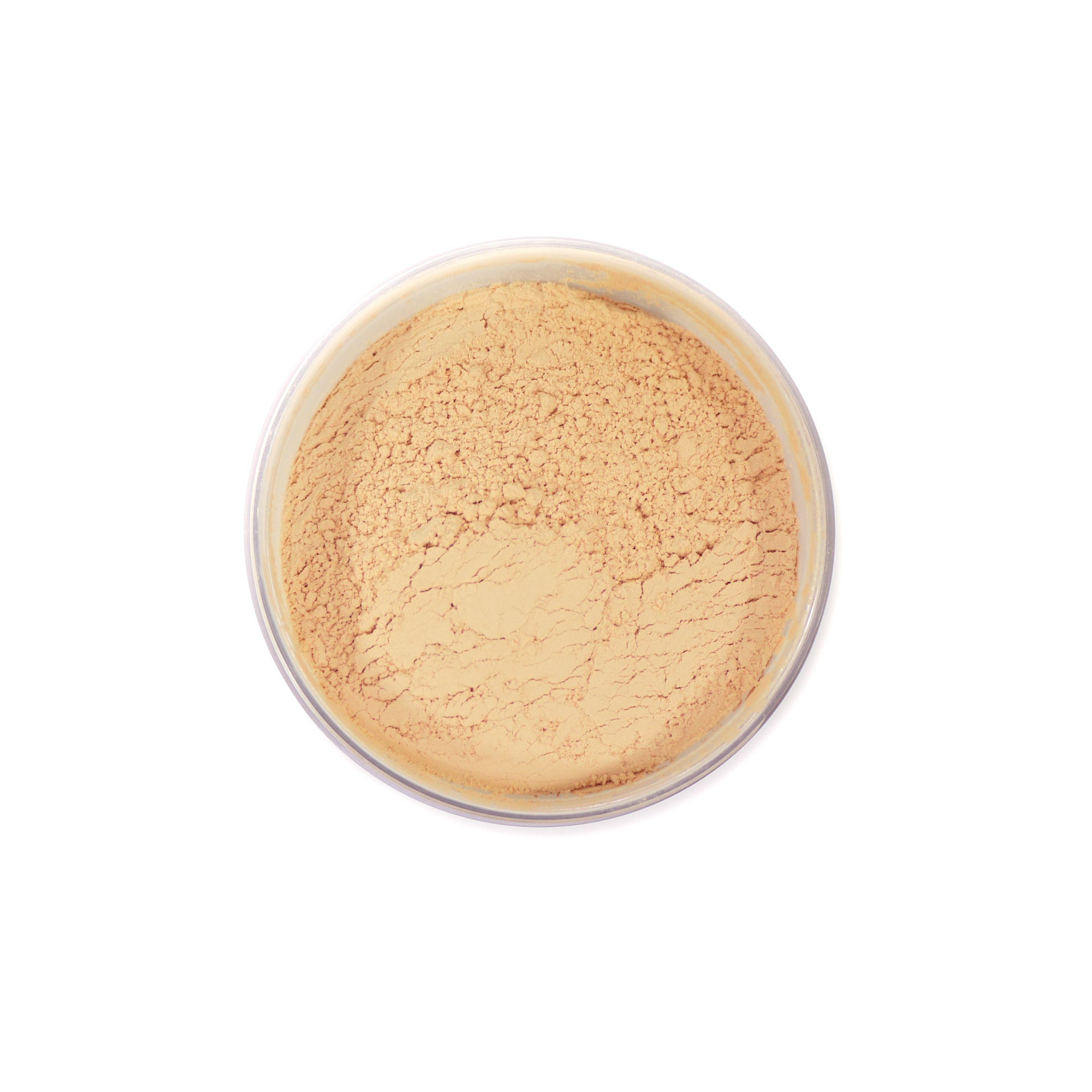 MAC Blot Loose Powder Medium Dark  #1