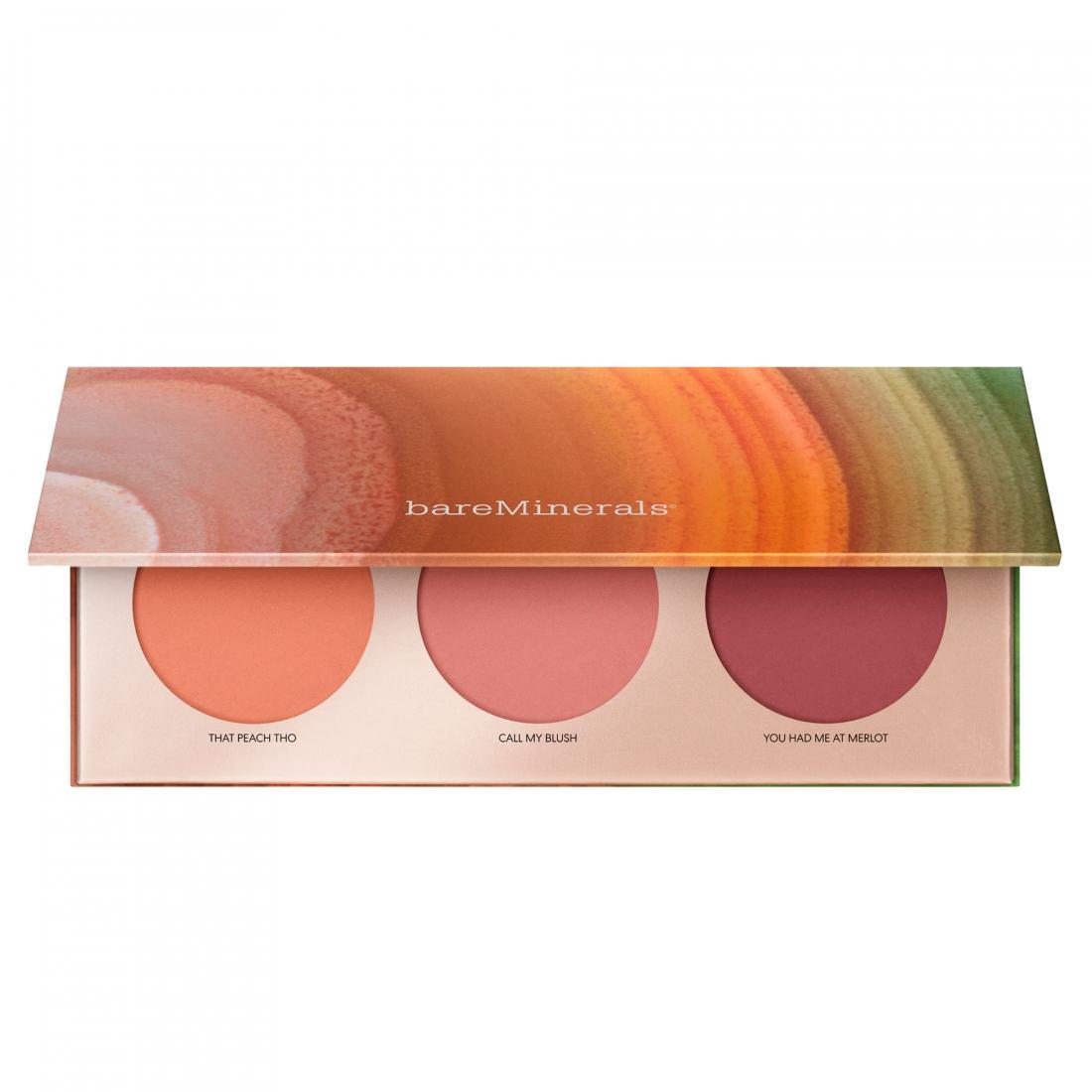 bareMinerals Desert Bloom Gen Nude Mini Blush Palette