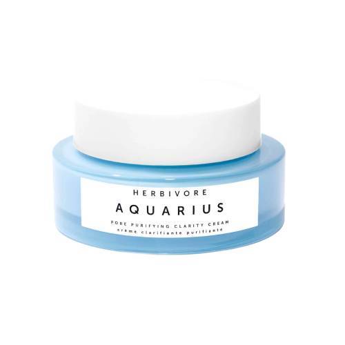 Herbivore Botanicals Aquarius Pore Purifying Clarity Cream Mini