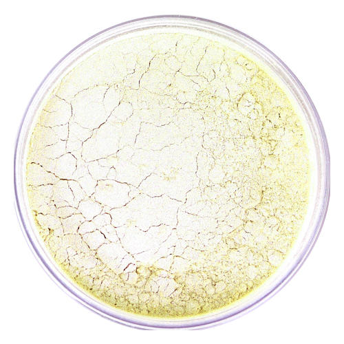 MAC Iridescent Loose Powder Bee Dust