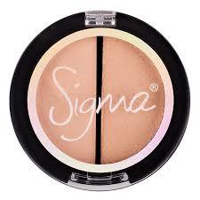 Sigma Brow Highlight Duo Bring To Light