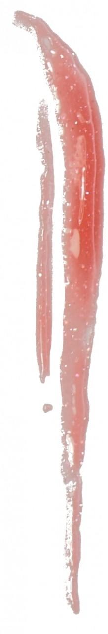 MAC Dazzleglass Crème Lip Gloss Passing Fancy #3