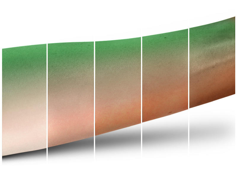 MAC Eyeshadow Sassy Grass #4