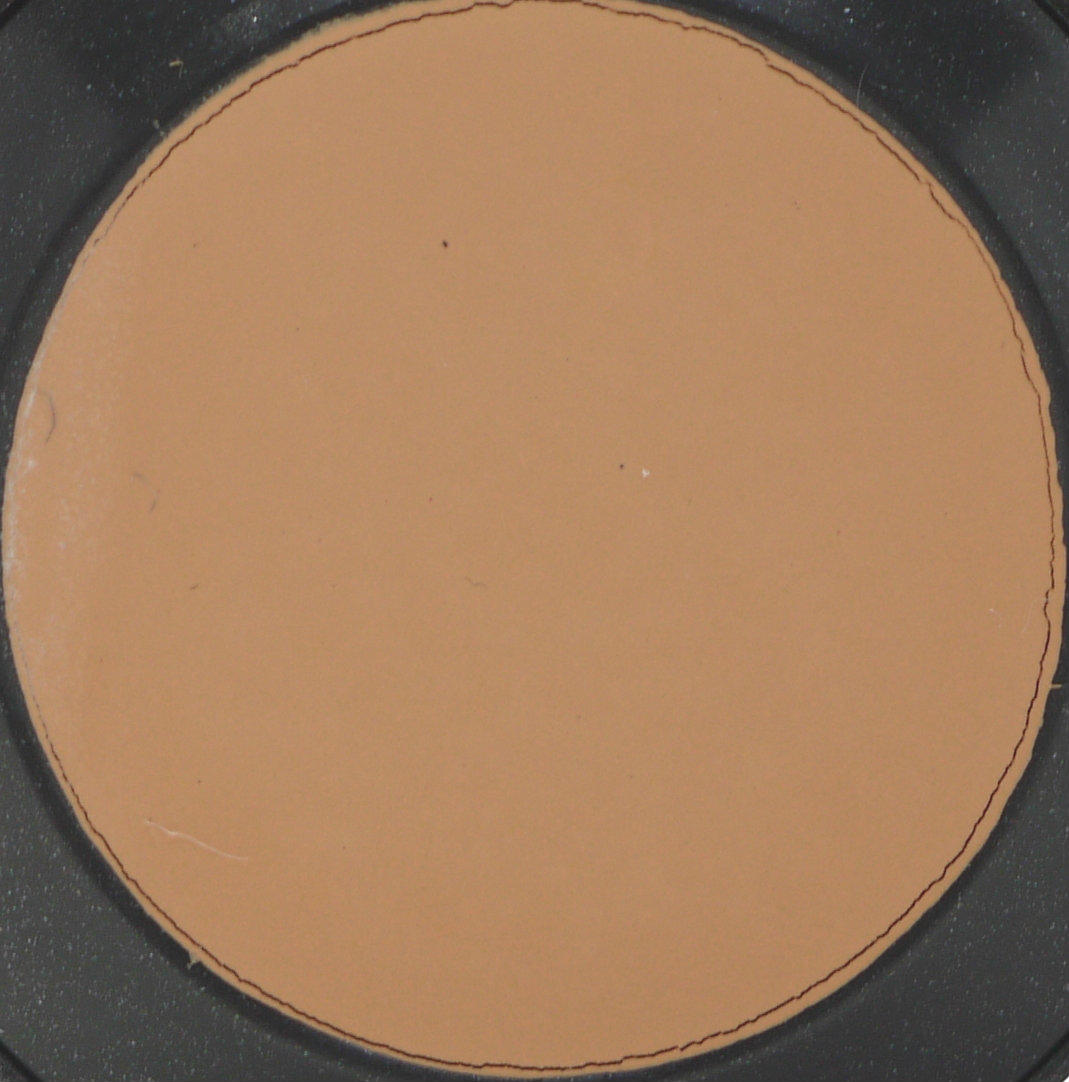 MAC Studio Finish Concealer NW25 #2