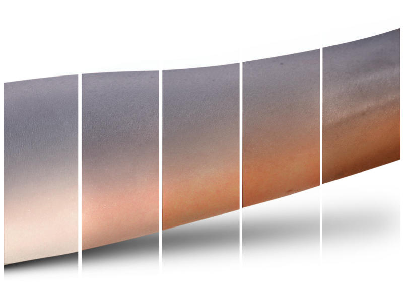 MAC Eyeshadow Palette Tartan Tale Collection Twists of Tartan #12