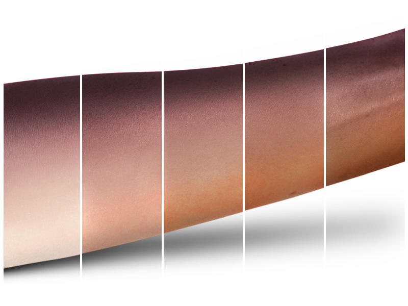 MAC Eyeshadow Quad Shadowy Lady #8