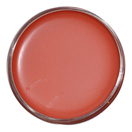 Bobbi Brown Pot Rouge For Lips & Cheeks Summer Pink Mini