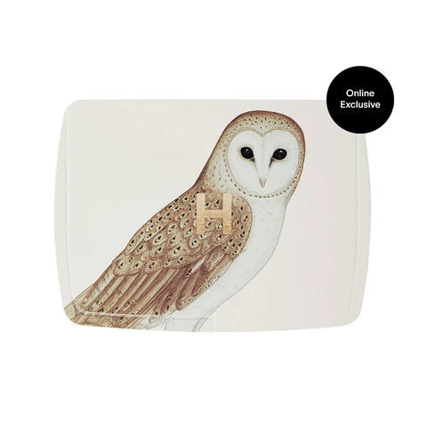 Hourglass Ambient Lighting Edit Unlocked Owl #0