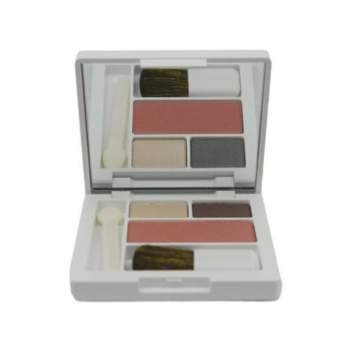 Clinique All About Shadow Duo & Blush 06