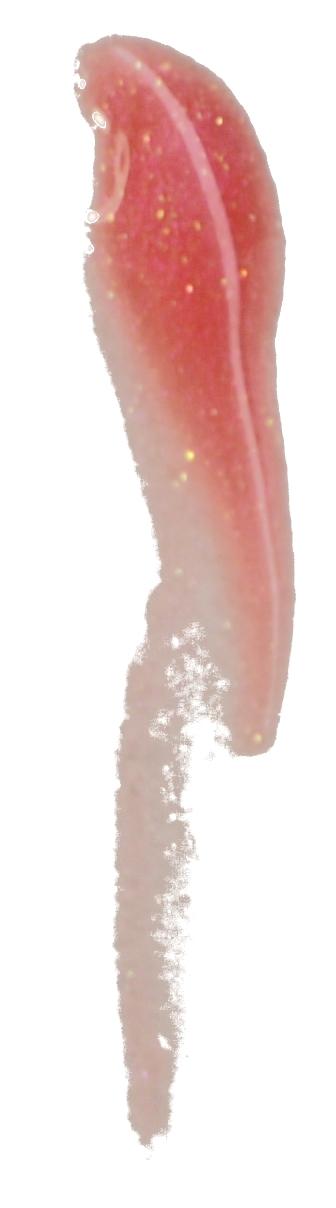 MAC Lipglass Devilishly Stylish Venomous Villains Collection #3