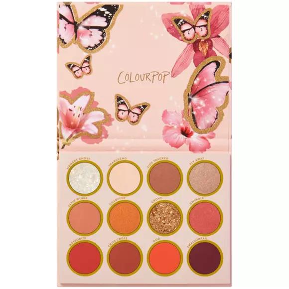 2nd Chance ColourPop A Flutter Eyeshadow Palette
