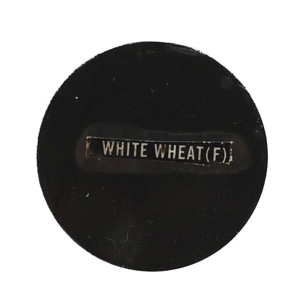 MAC Eyeshadow Refill White Wheat #1