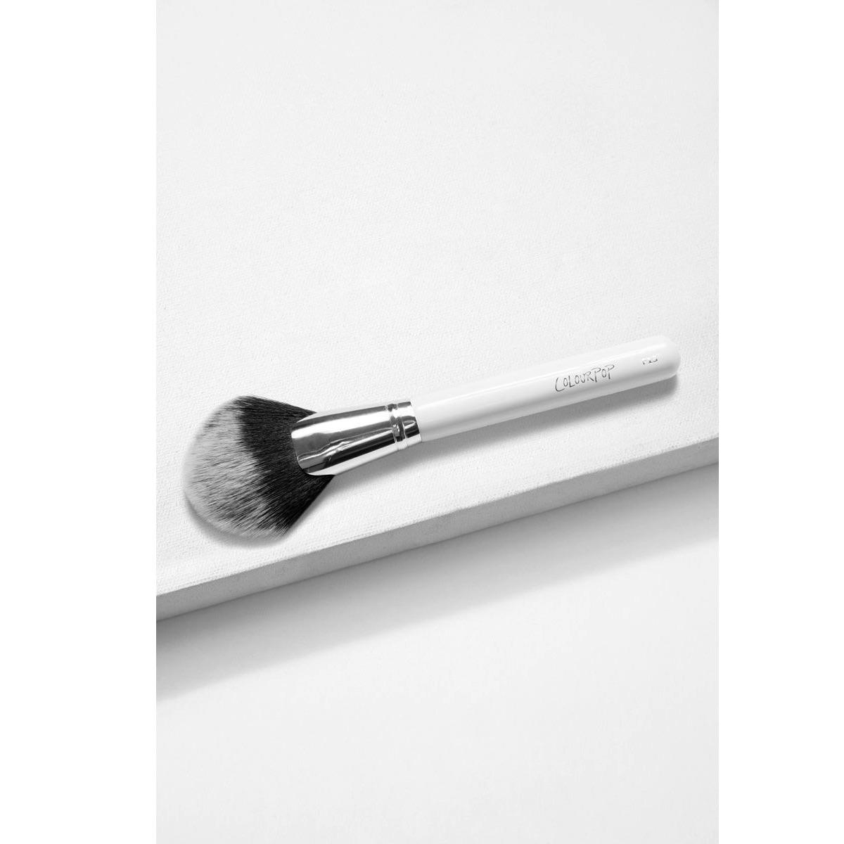 Colourpop Full Fan Face Brush F13