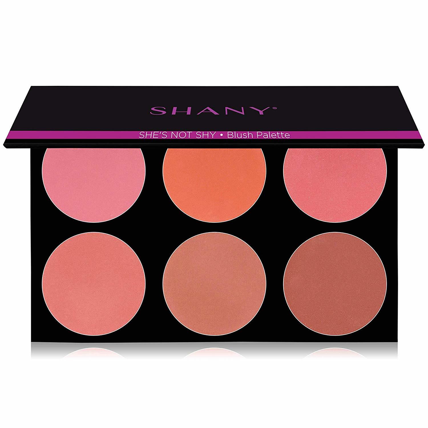 SHANY Masterpiece 6 Colors Large Blush Palette