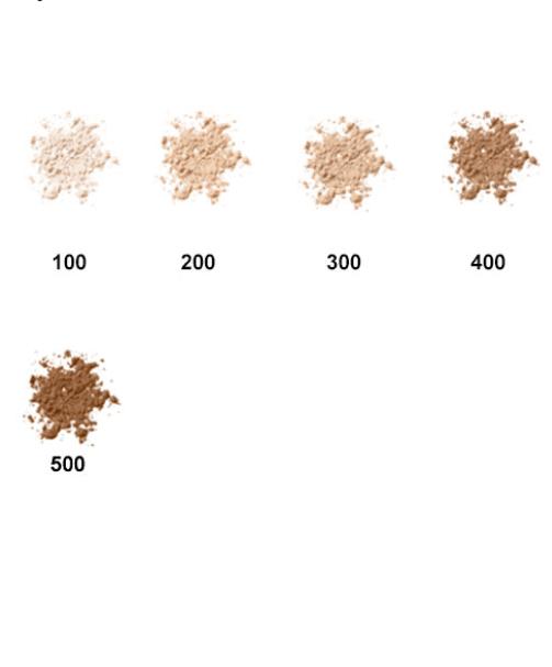 Lancome Translucence Silky Loose Powder 200 #1