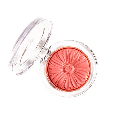 Clinique Blush Plum Pop 04