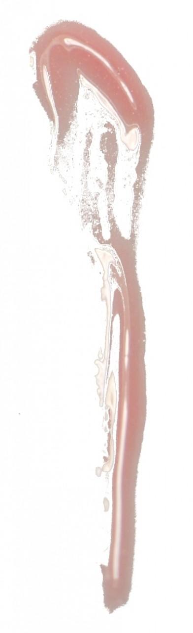 MAC Cremesheen Glass Lip Gloss Fashion Scoop #3