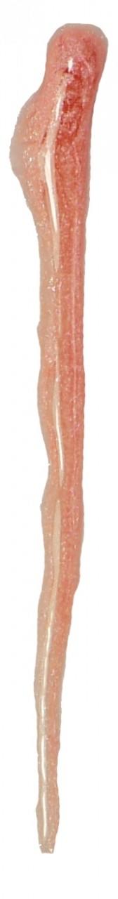 MAC Lipglass Tasti Watermelonny #3