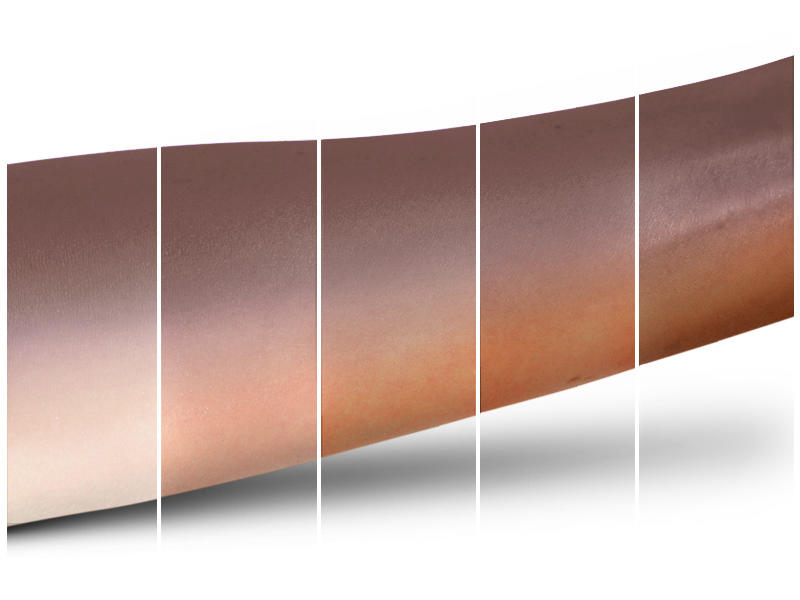 MAC Eye Palette Spiced Chocolate #8