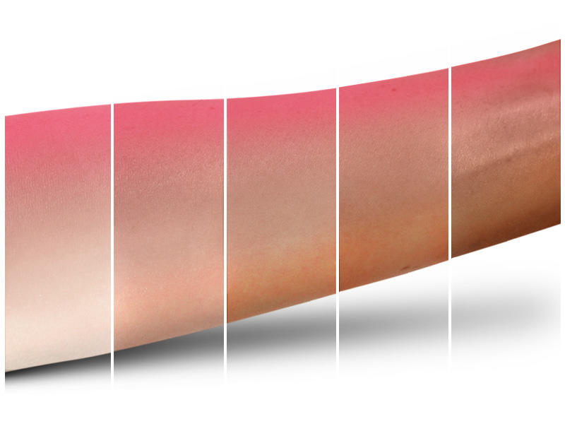 MAC - Powder Blush Duo - Blossom Up & Rose Hip #7