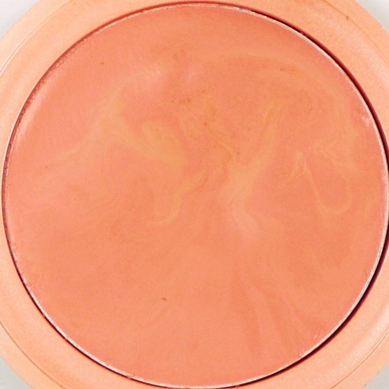 Repeat-Stila Convertible Color Gerbera #2