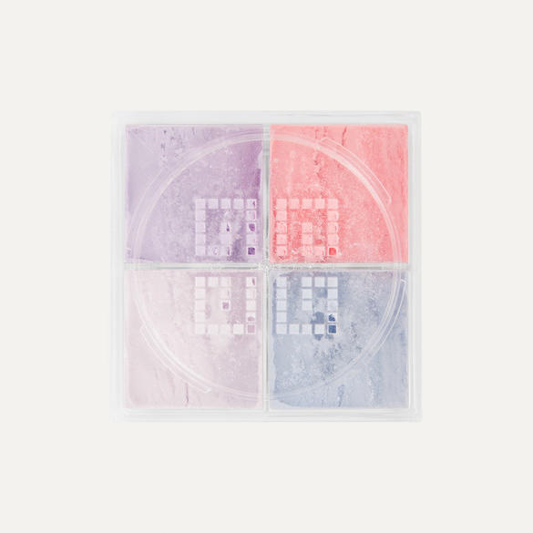 Givenchy Prisme Libre 4-In-1 Harmony Sparkling Mousseline #1